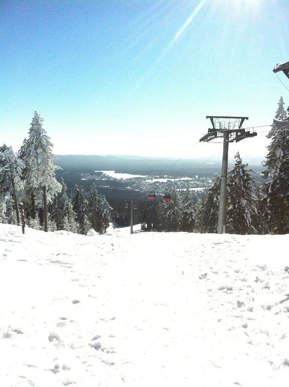 Concordia Harzapart Braunlage Exteriör bild